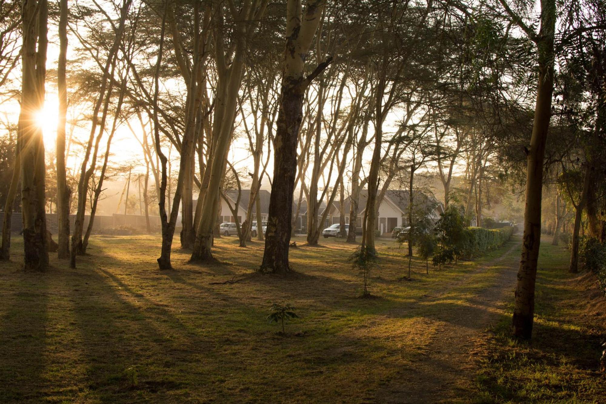 Burch'S Resort Naivasha Camping Exterior photo